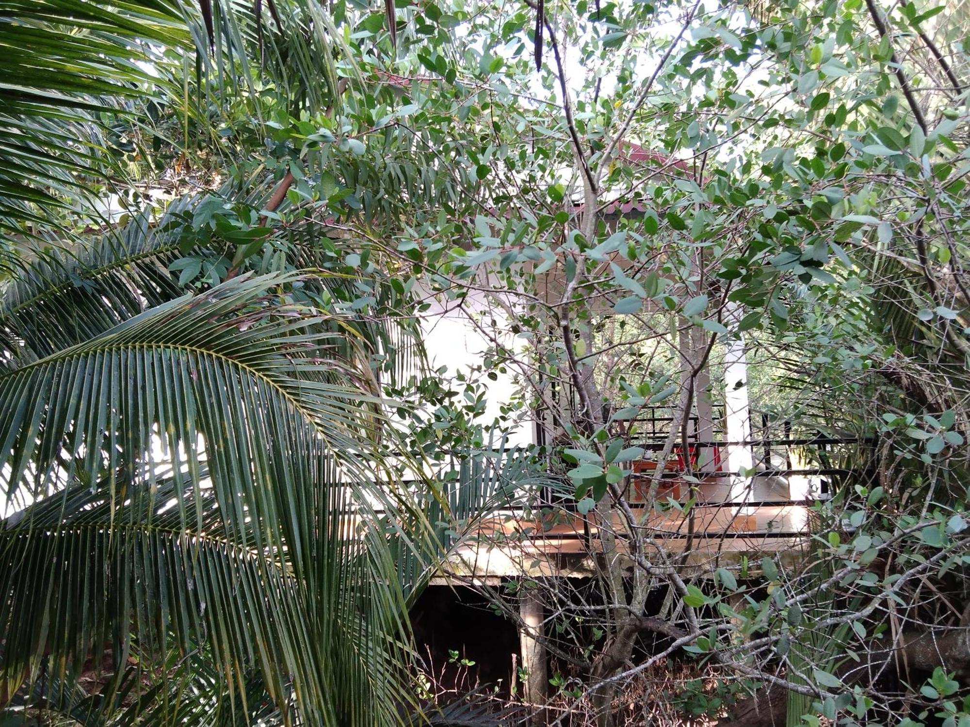 Quoc Phuong Riverside Homestay Ben Tre Εξωτερικό φωτογραφία